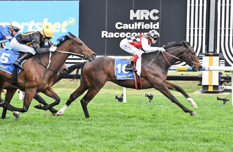 Sepals takes out the 2025 Sir Rupert Clarke Stakes