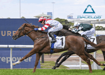 In The Lab: 2025 Golden Rose