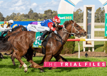 The Trial Files: Ararat, Pakenham Review