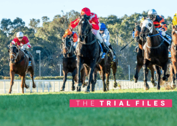 The Trial Files: Wangaratta Review