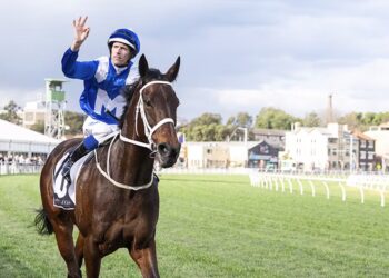 $1.10 Pop Beaten at Moe