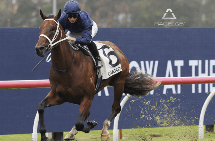 Can Wodeton take out Saturday's Run To The Rose