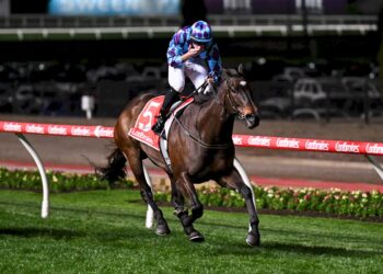 Jenni scores as stars left wondering