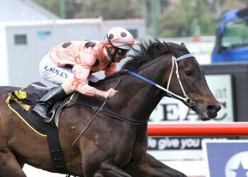 Ka Ying not in Caviar’s stratosphere