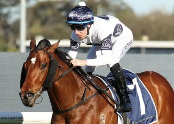 Mad Monday: Rosehill review