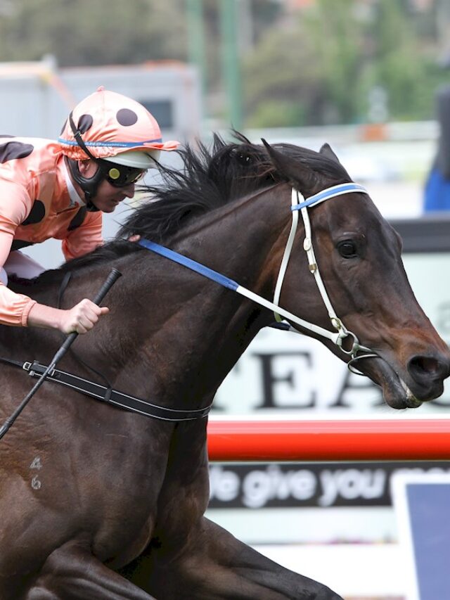 Black Caviar