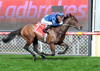 Beaten jockeys: Manikato Stakes