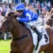 Overhyped? Rosberg to justify Coolmore tilt
