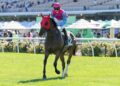 Smith expects Everest call when excuses stop