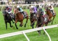Waller unfazed as Diva duo chase Group 1 glory