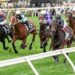 Waller unfazed as Diva duo chase Group 1 glory