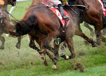 Stewards probe landmark nicotine positive ahead of spring