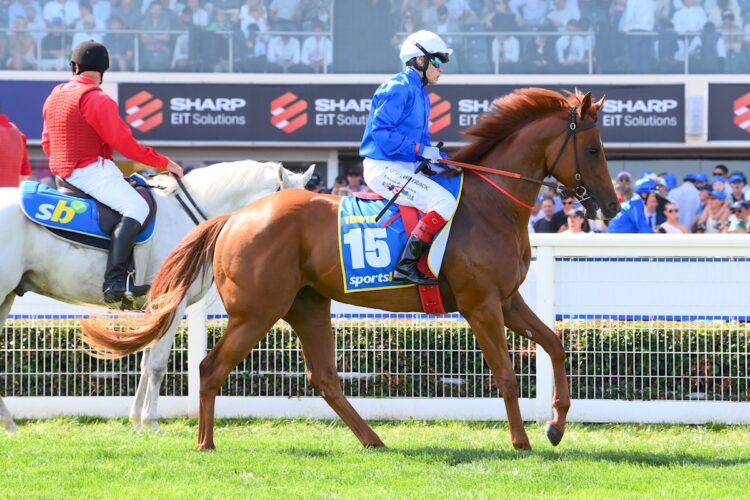 Tempted ridden by Craig Williams prior to the Sportsbet Blue Diamond Stakes at Caulfield Racecourse on February 22, 2025 in Caulfield, Australia. (Photo by Brett Holburt/Racing Photos)