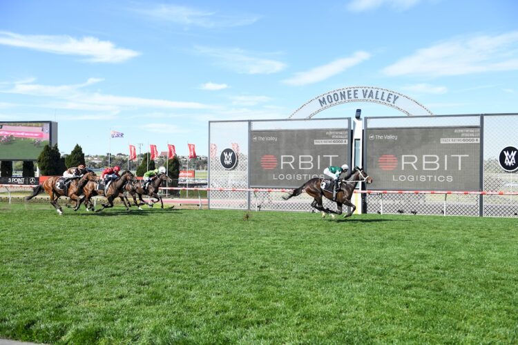 Angel Capital ridden by Damian Lane wins the Chautauqua Stakes at Moonee Valley Racecourse on September 06, 2025 in Moonee Ponds, Australia. (Photo by Reg Ryan/Racing Photos)
