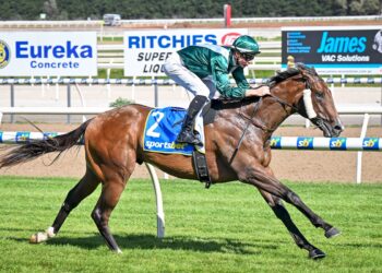 Griffiths’ $1m gamble paying off