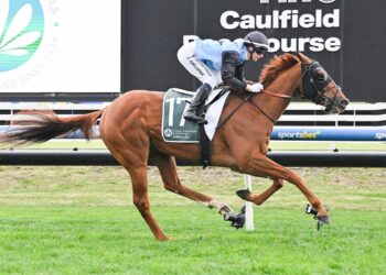 Melham’s Everest temptation could see Morgan call-up