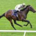 Flying mare Everest bound