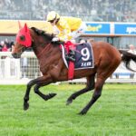 Did your cash? Underwood Stakes beaten jockeys give their take