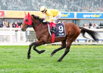 Did your cash? Underwood Stakes beaten jockeys give their take