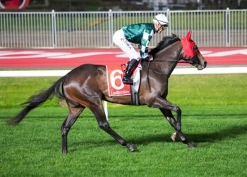 Laurie backs star despite ‘disappointment’