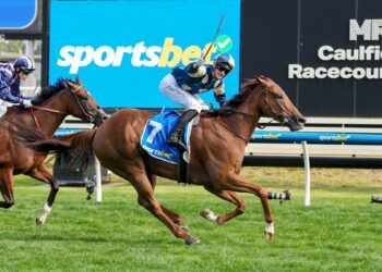 Maher’s familiar Everest path for Jimmysstar