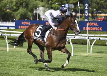 Not a warm-up: Everest outsiders sizzle