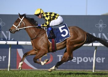 Love at first sight: How John Messara fell for Autumn Glow