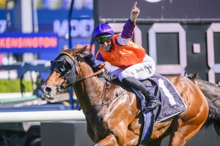 El Castello at Royal Randwick, 26 October 2024 [Bradley Photos]