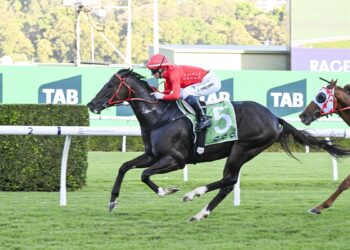 Mazu completes Everest field