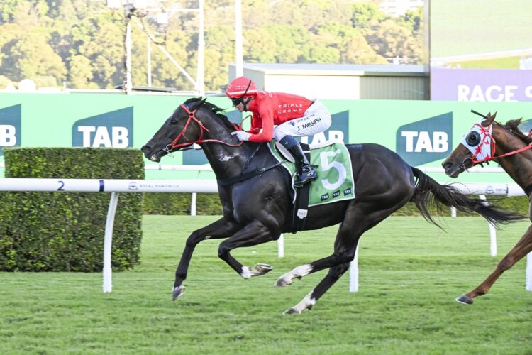 Mazu [Bradley Photos]