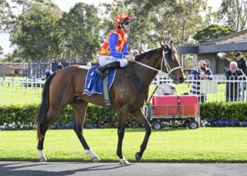Autumn Boy boosted by barrier draw