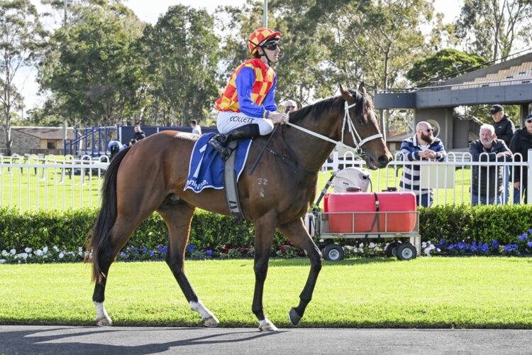 Autumn Boy [Bradley Photod]