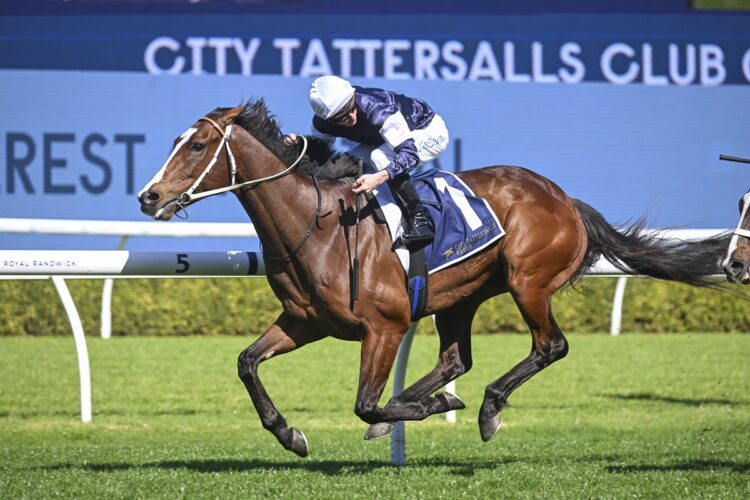 Changingoftheguard at Royal Randwick, 06 September 2025, [Bradley Photos]