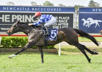 Oh Diamond Lil wins the TIBBIE STAKES at Newcastle [Bradley Photos]