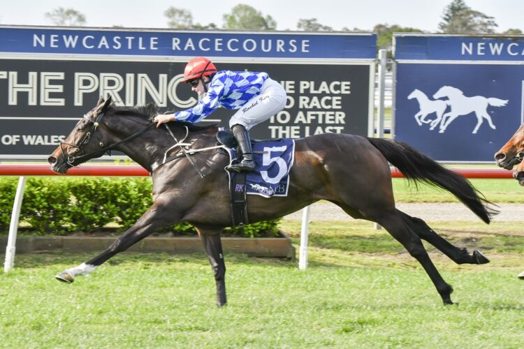 Oh Diamond Lil wins the TIBBIE STAKES at Newcastle [Bradley Photos]