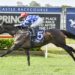 Pfieffer waiting on Invitation