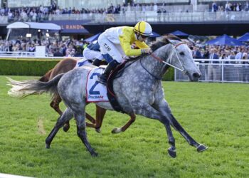 Schiller’s secret weapon: Briasa set to explode