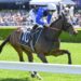 Pride of Jenni’s speed could launch Idle Flyer