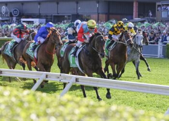 The Everest beaten jockeys