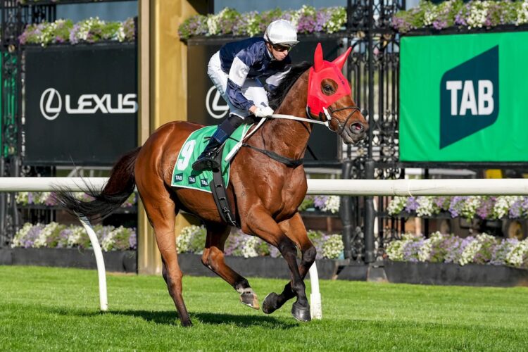 Can Adelaide River cause an upset in the Caulfield Cup?