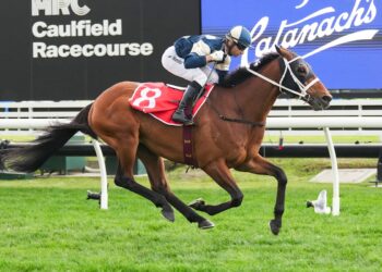 In The Lab: 2025 Cox Plate