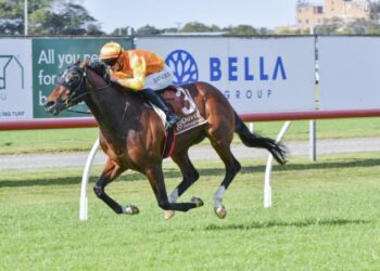 In The Lab: 2025 Spring Champion Stakes