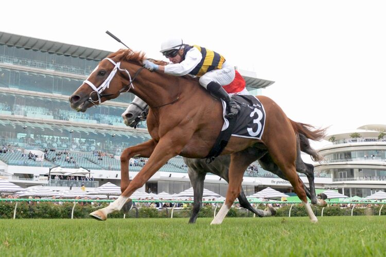 Deakin is out of the Melbourne Cup