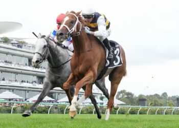 In The Lab: 2025 Caulfield Cup
