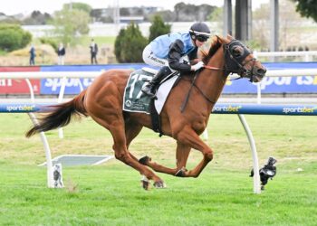 Caulfield Cup runner by runner preview