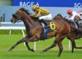 Mulberry Racing confirm Everest runner