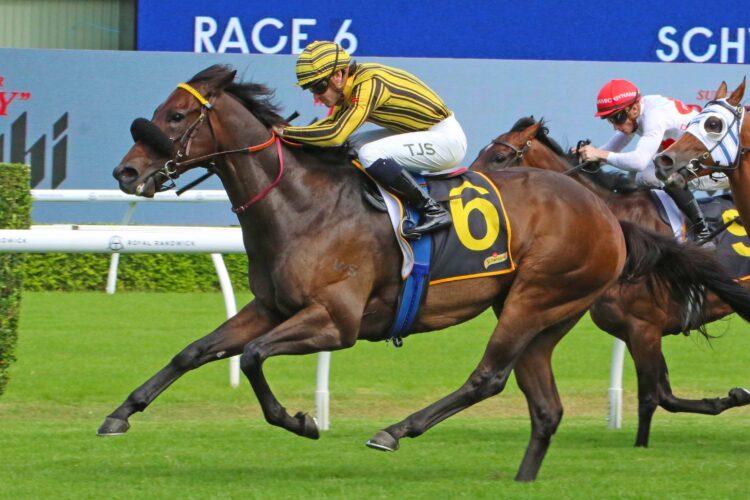 Jedibeel has worked his way into the Everest