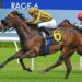 Mulberry Racing confirm Everest runner