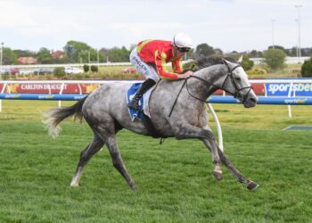 Bedggood plotting a Sydney heist with Kingswood