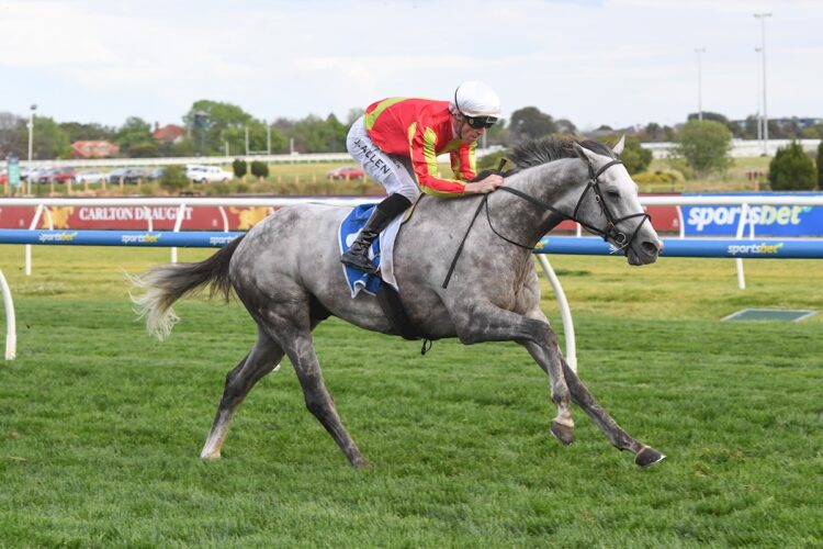 Can Kingswood win the Hill Stakes?